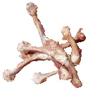 [BRNTLP] BP Chicken Leg Bones