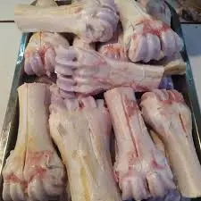 [SPTLGSM] Beef Bone Marrow